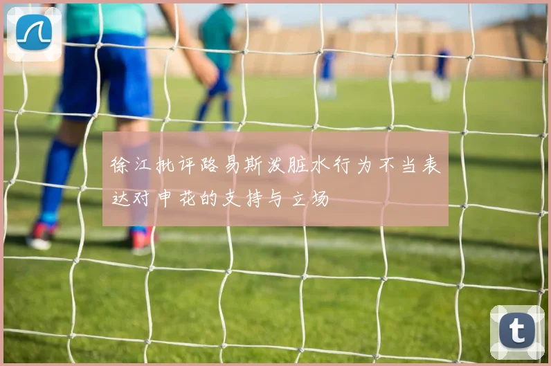 徐江批评路易斯泼脏水行为不当表达对申花的支持与立场