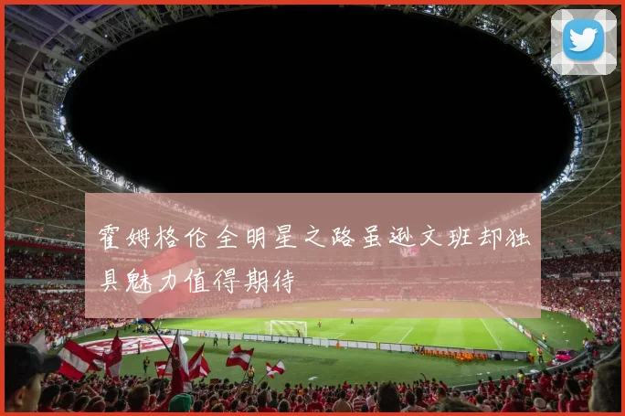 霍姆格伦全明星之路虽逊文班却独具魅力值得期待